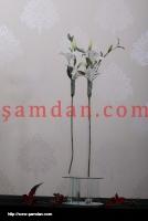 Cam amdan