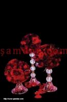 amdan Tasarm